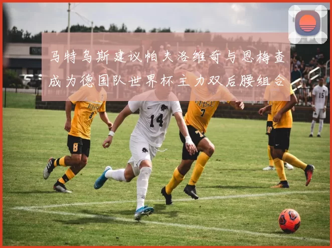 马特乌斯建议帕夫洛维奇与恩梅查成为德国队世界杯主力双后腰组合